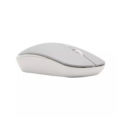 ANITECH Wireless Mouse (Grey) W231-GY
